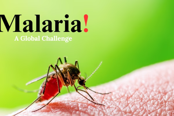 Malaria vaccine could potentially be delivered by mosquitoes themselves Malaria vaccine